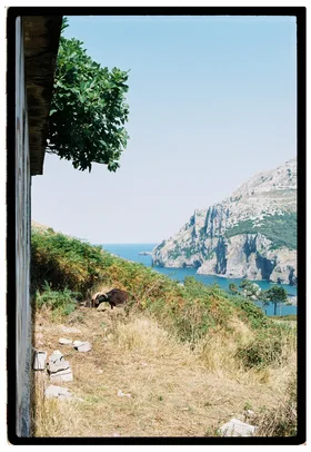 Frame 15
