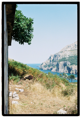 Frame 15