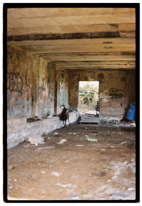 Frame 16