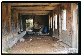 Frame 17