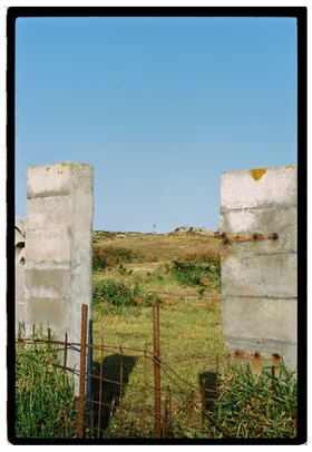 Frame 24