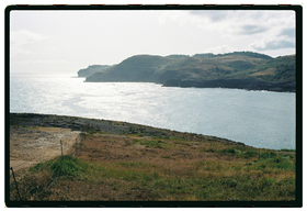 Frame 6