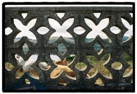 Frame 18
