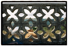 Frame 18