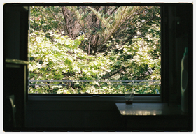 Frame 1