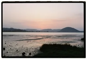 Frame 6