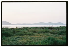 Frame 7