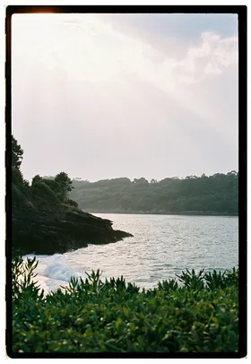 Frame 14