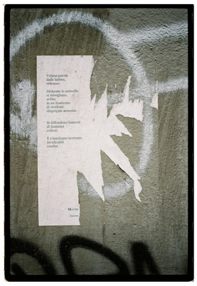 Frame 21