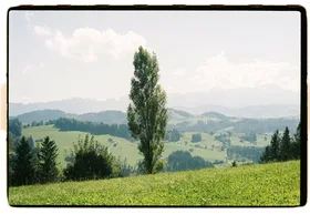 Frame 3