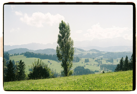 Frame 3