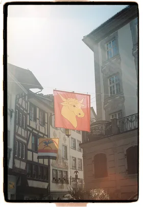 Frame 19