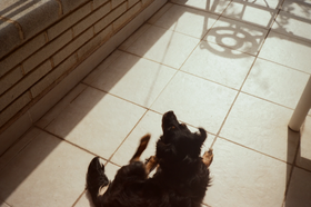 Frame 7