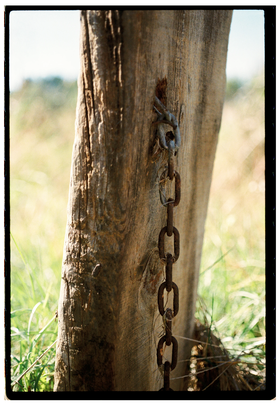 Frame 5