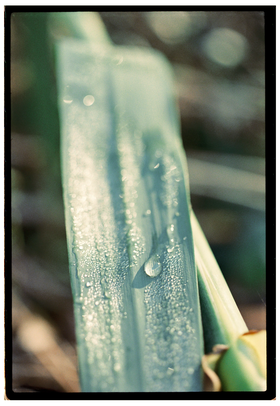 Frame 8
