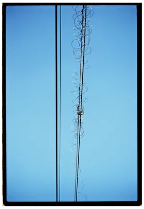 Frame 37
