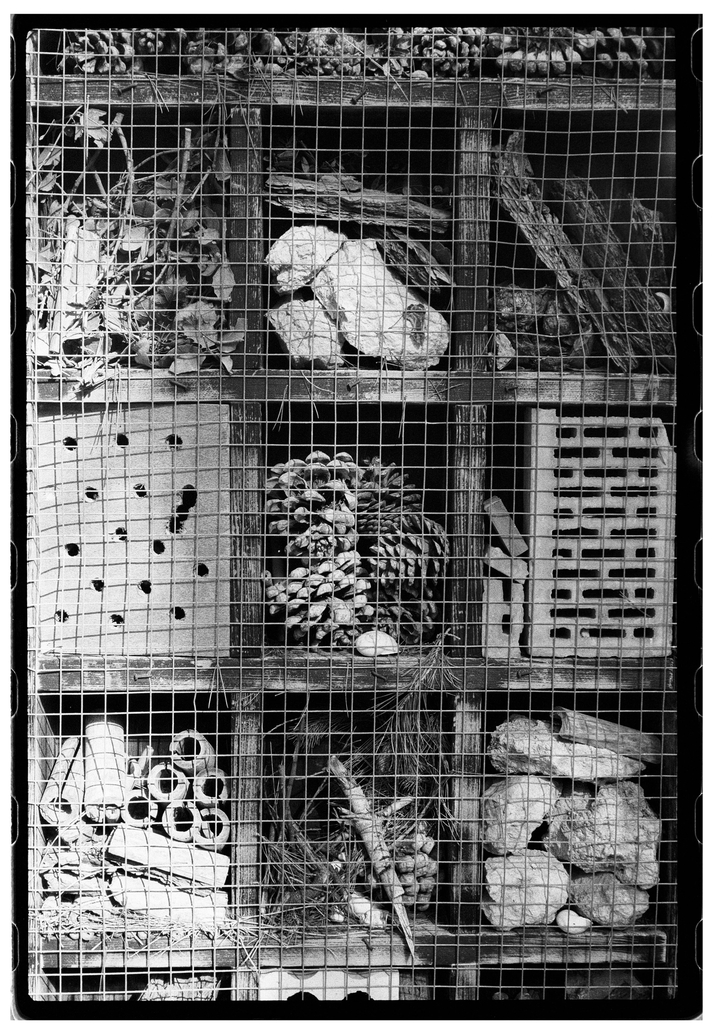 Roll Dump 32 — frame 4