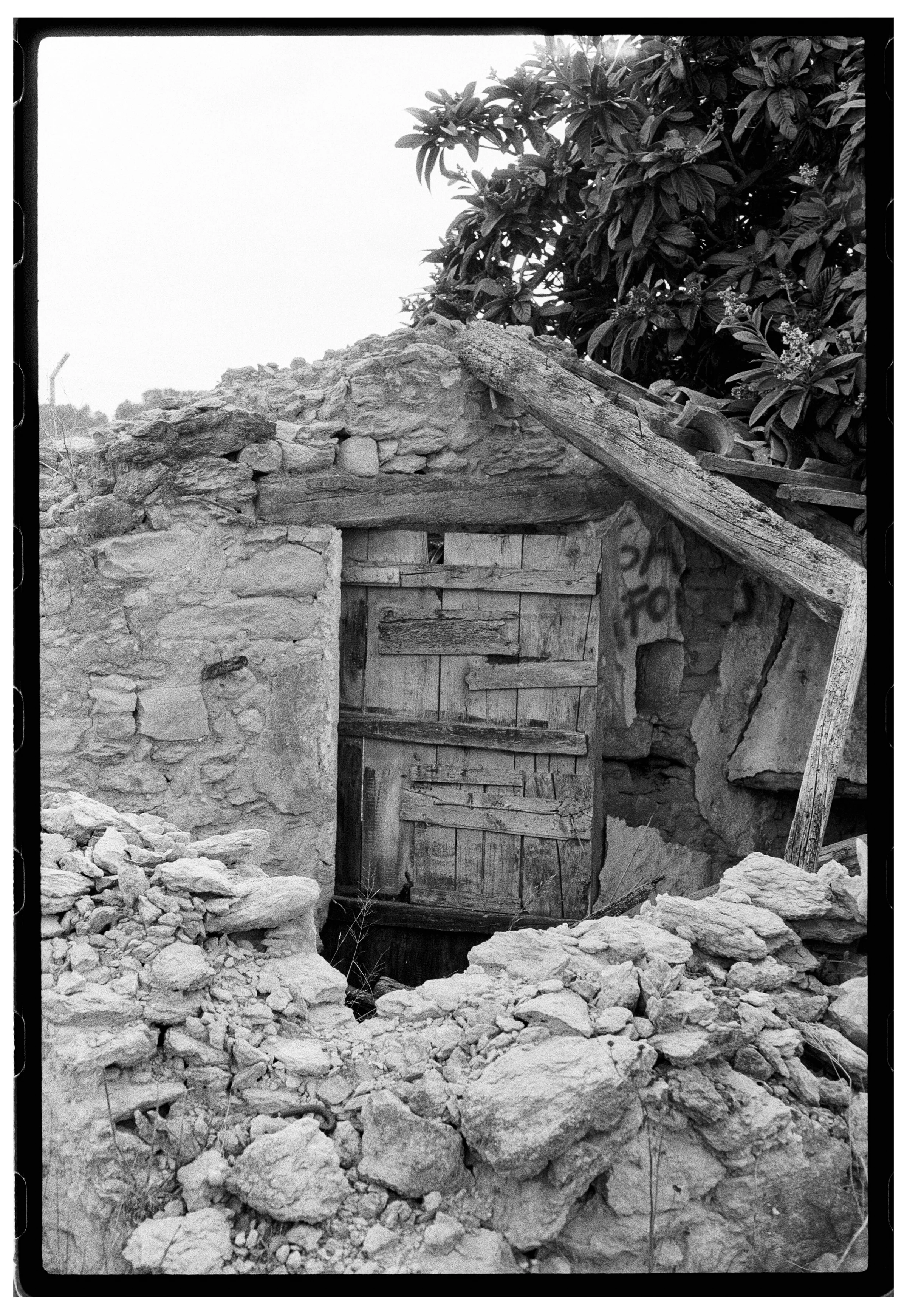 Roll Dump 32 — frame 23