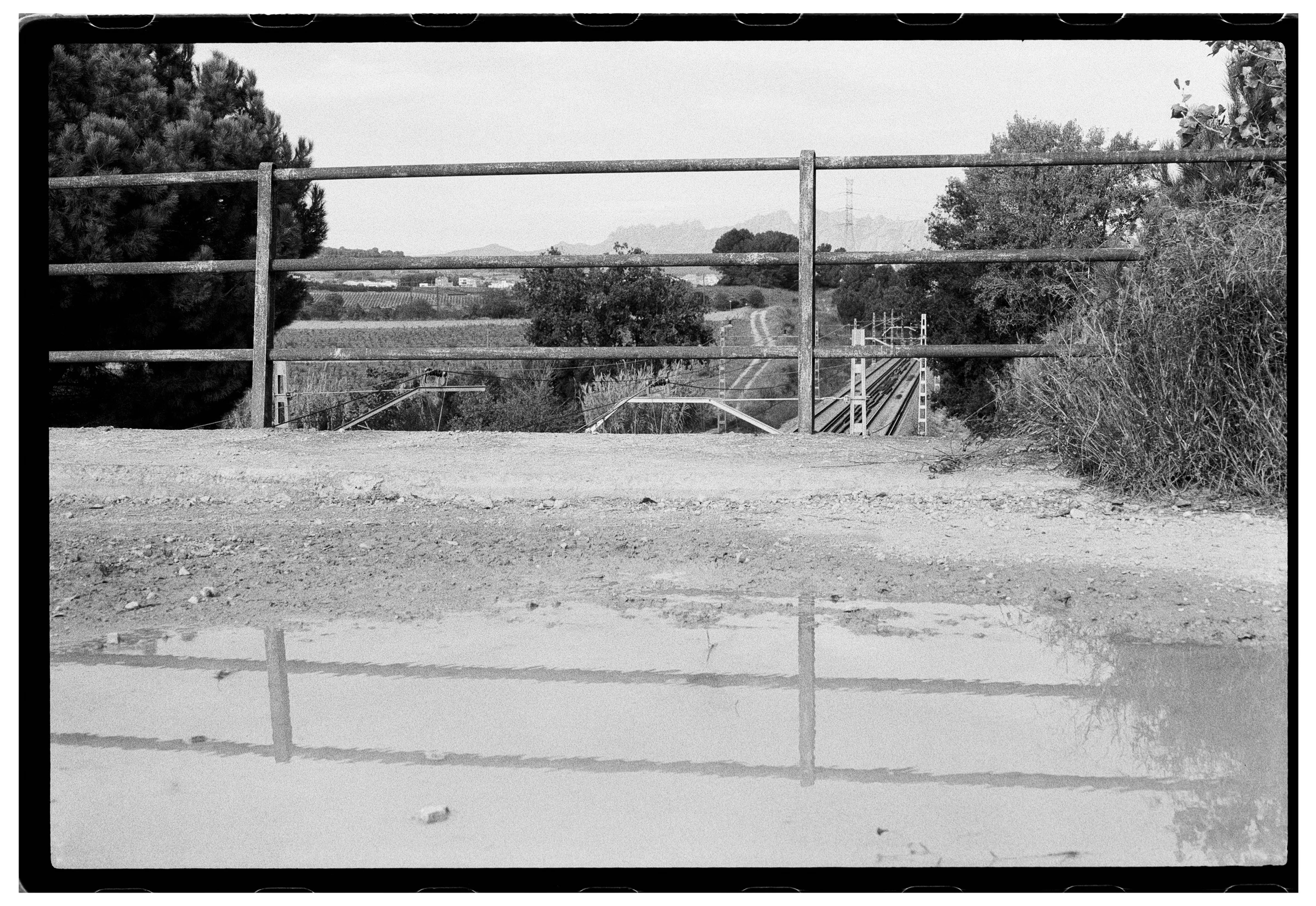 Roll Dump 32 — frame 31