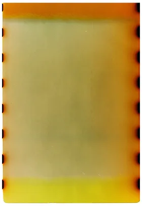 Frame 1