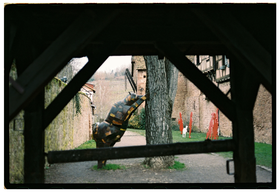 Frame 12