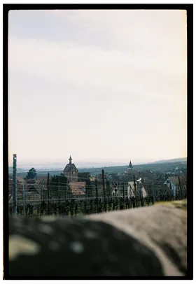 Frame 29