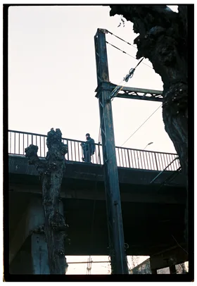 Frame 37