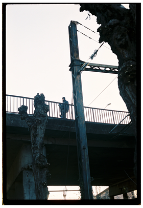 Frame 37