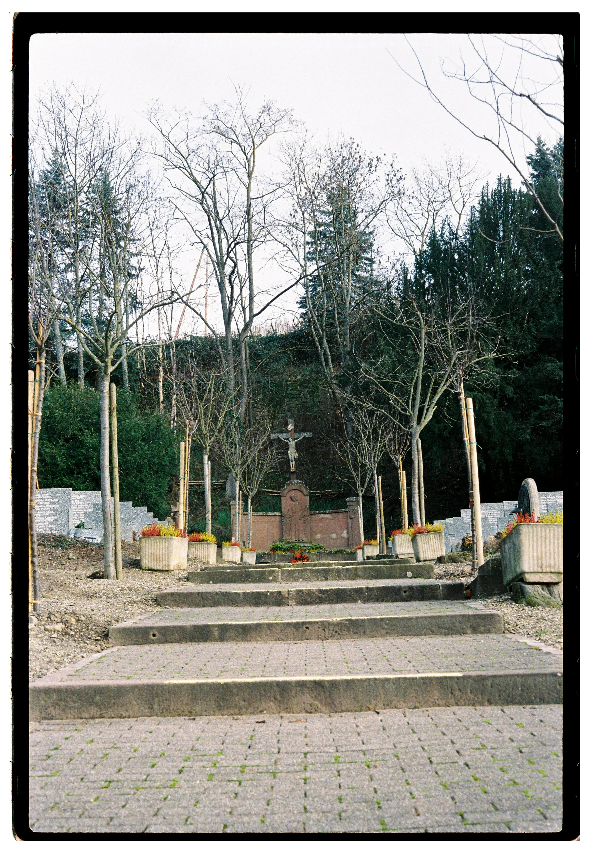 Roll Dump 38 — frame 29