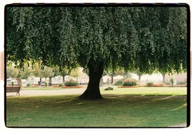 Frame 4