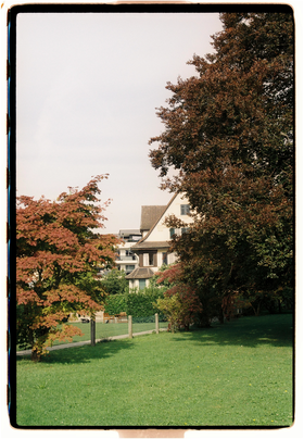 Frame 6
