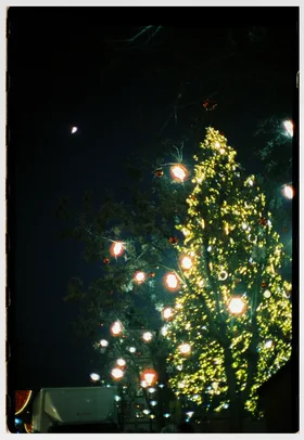 Frame 12