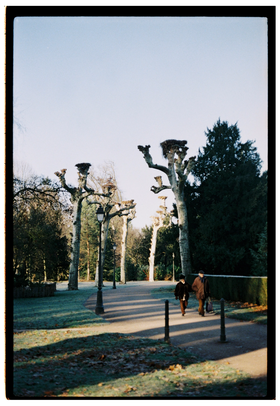 Frame 33