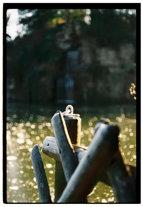 Frame 37