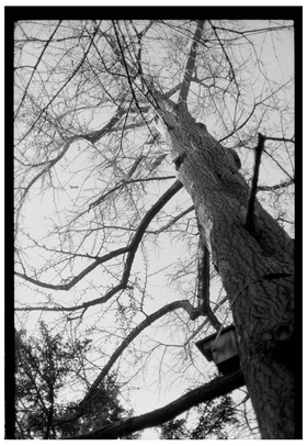 Frame 22