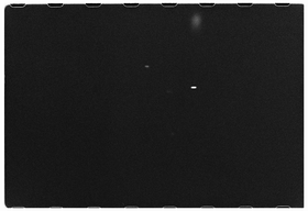 Frame 12