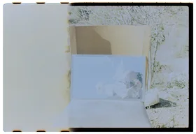 Frame 1