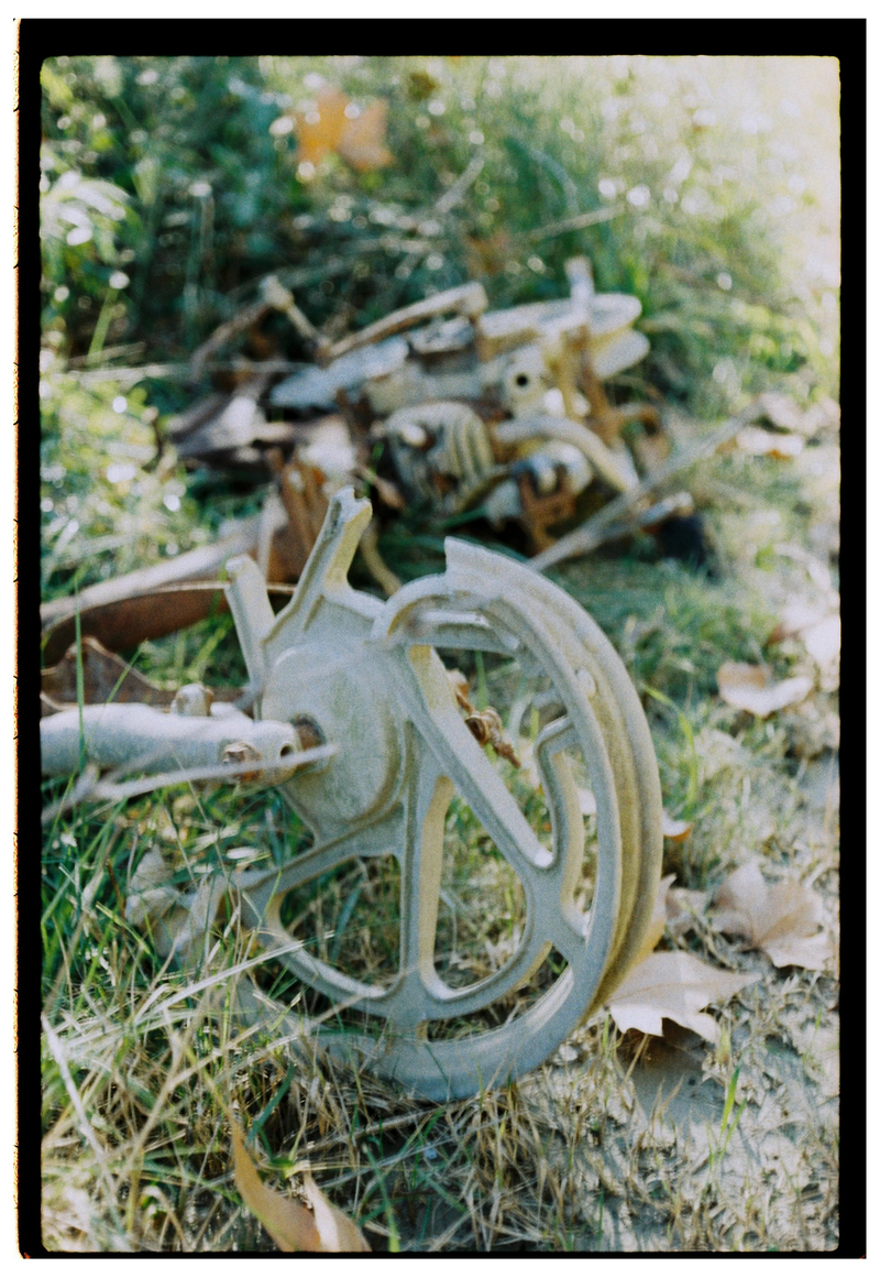 Roll Dump 44 — frame 6