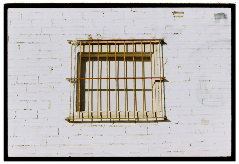 Roll Dump 44 — frame 8