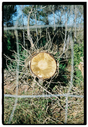 Frame 38