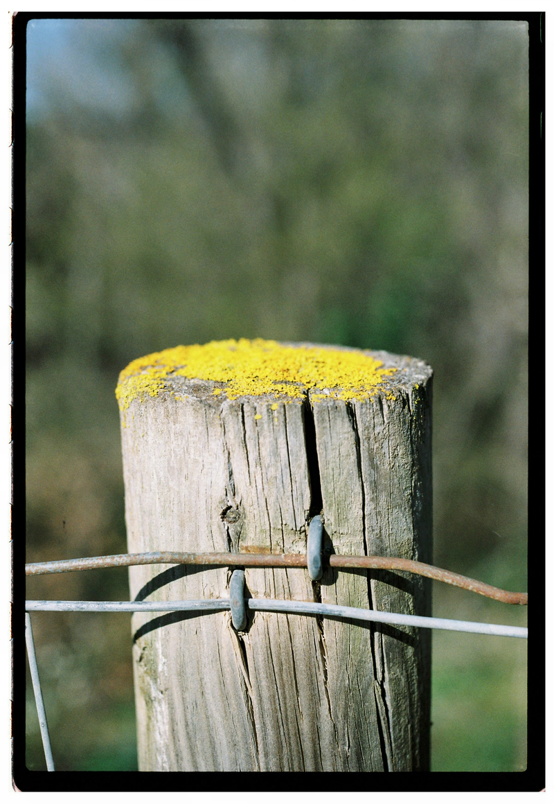 Roll Dump 44 — frame 39