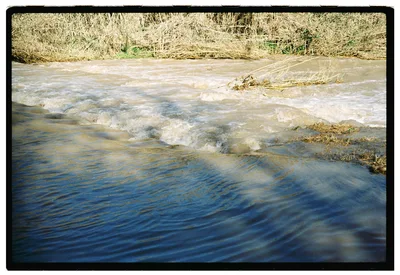Roll Dump 45 — Kodak Gold 200