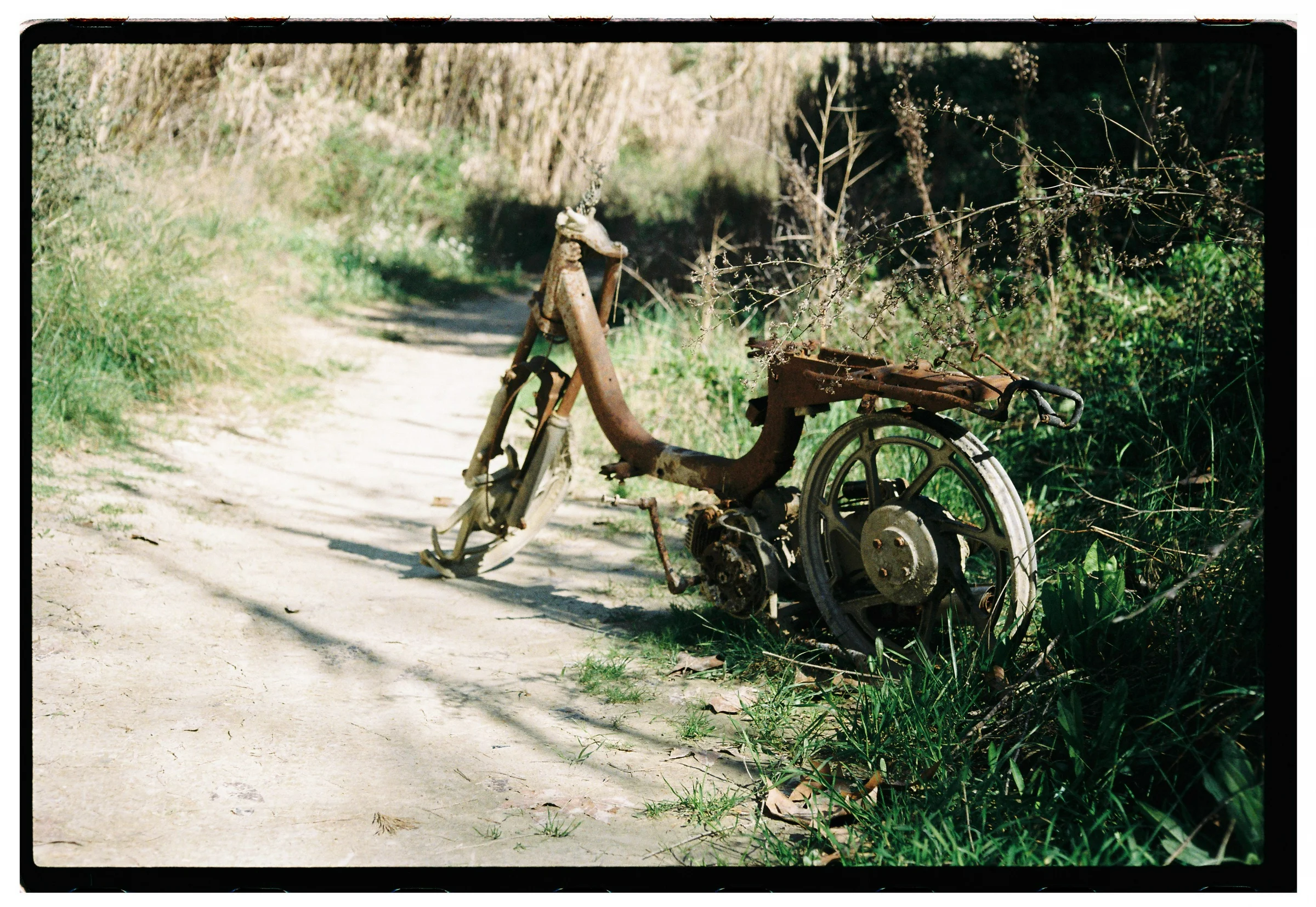 Roll Dump 45 — frame 15