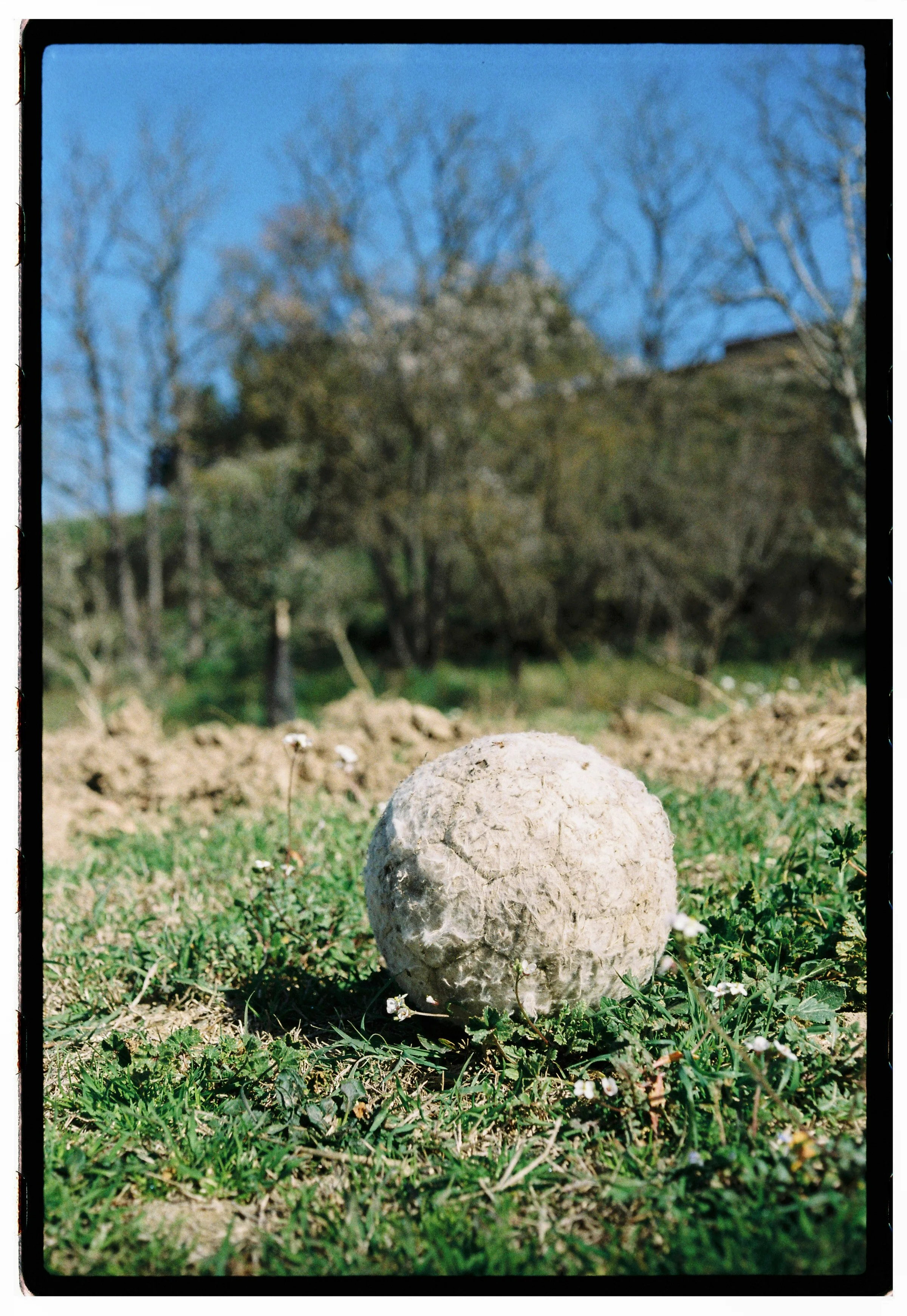 Roll Dump 45 — frame 22