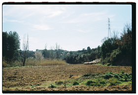 Frame 32