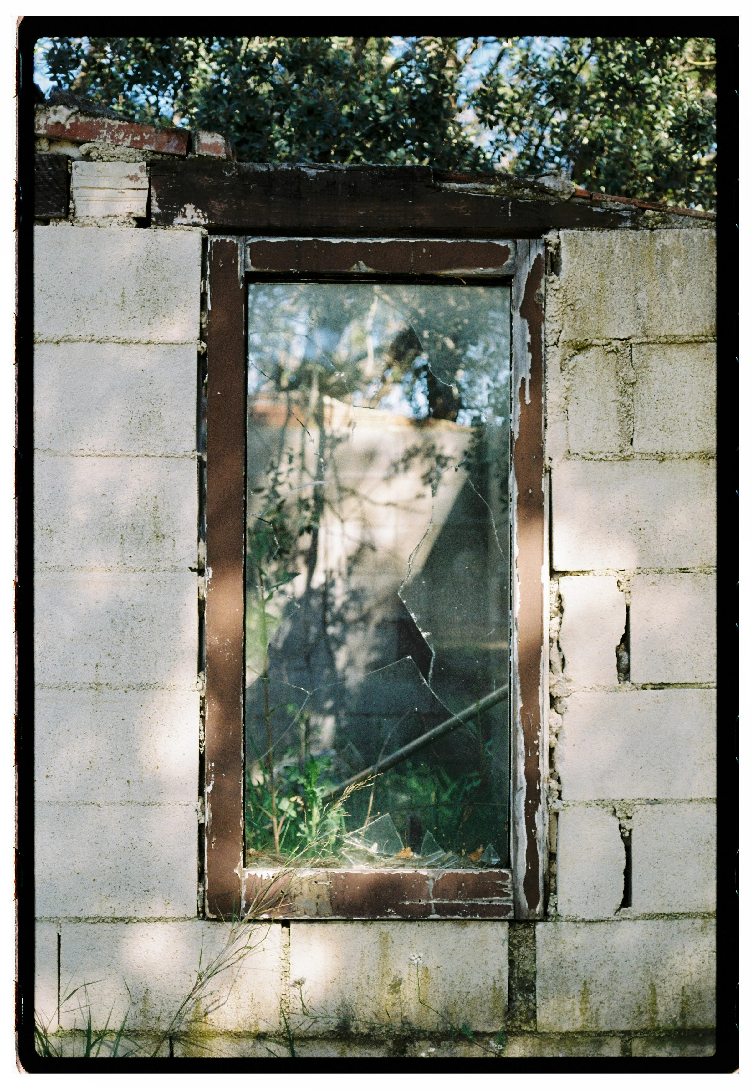 Roll Dump 45 — frame 33
