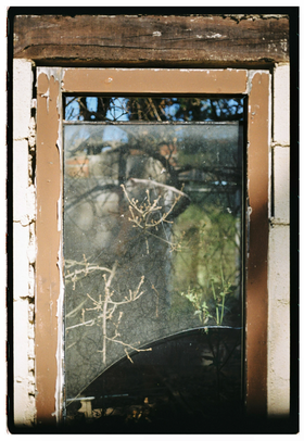 Frame 35