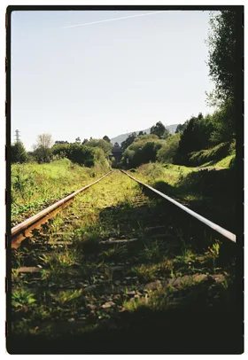 Frame 24