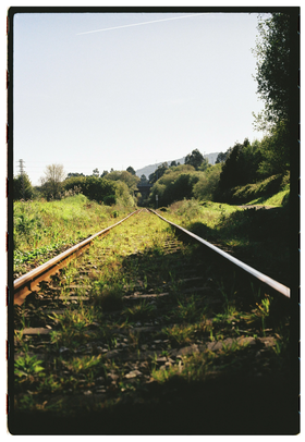 Frame 24