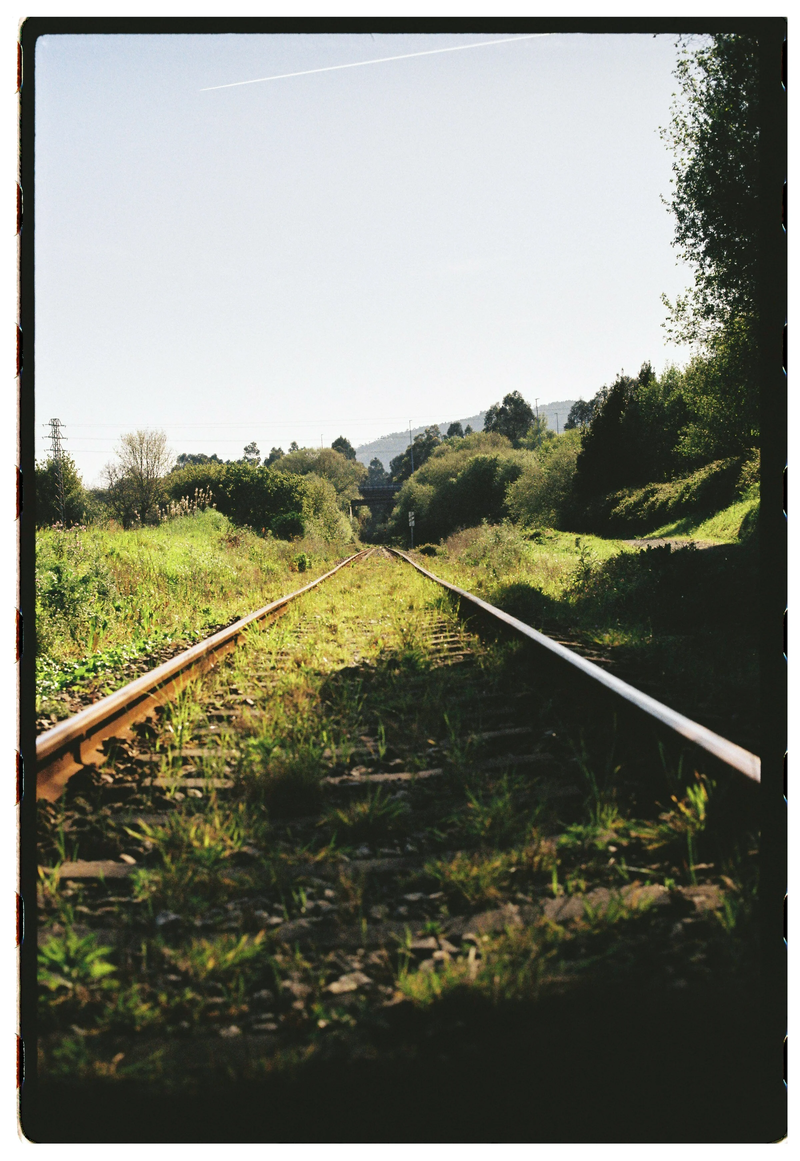 Roll Dump 47 — frame 24
